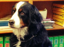 Licari Manufacturing